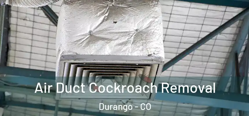  Air Duct Cockroach Removal Durango - CO