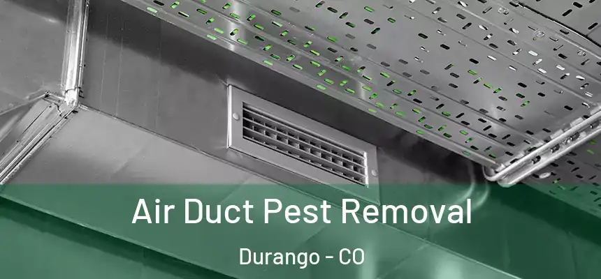  Air Duct Pest Removal Durango - CO