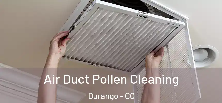  Air Duct Pollen Cleaning Durango - CO