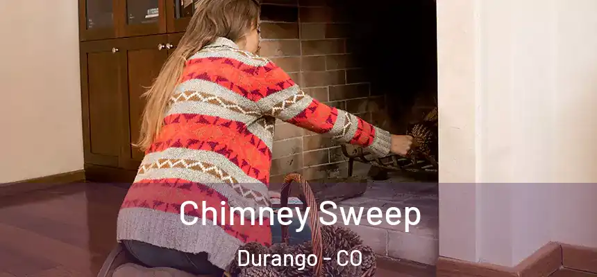  Chimney Sweep Durango - CO