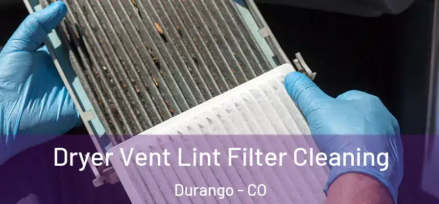  Dryer Vent Lint Filter Cleaning Durango - CO