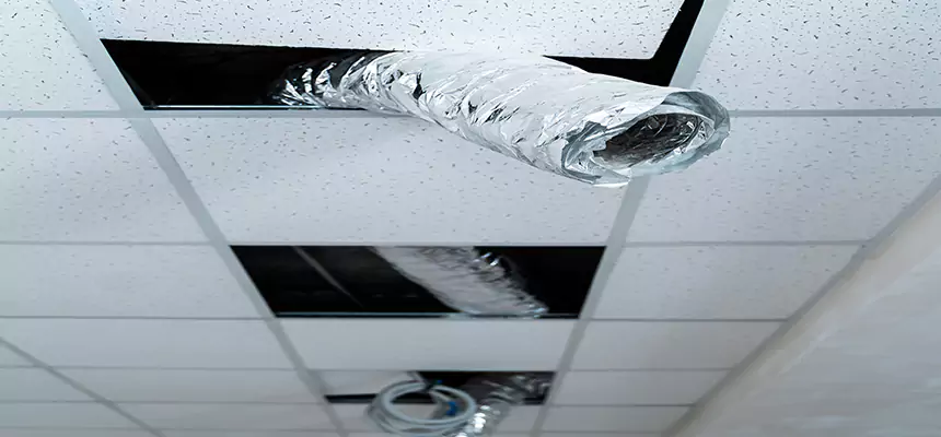 Our Air Duct Pet Hair Removal Services in Durango, CO