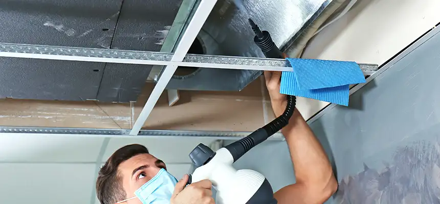 Our Air Duct Rodent Removal Services in Durango, CO