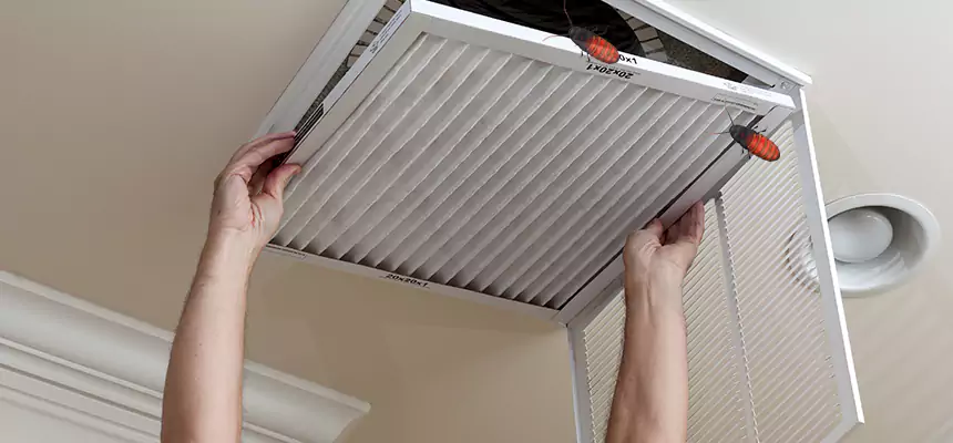 Our Insect Removal from Air Ducts Services in Durango, CO