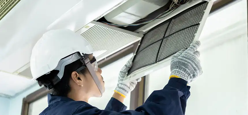 Our Lint Trap Cleaning Service Services in Durango, CO