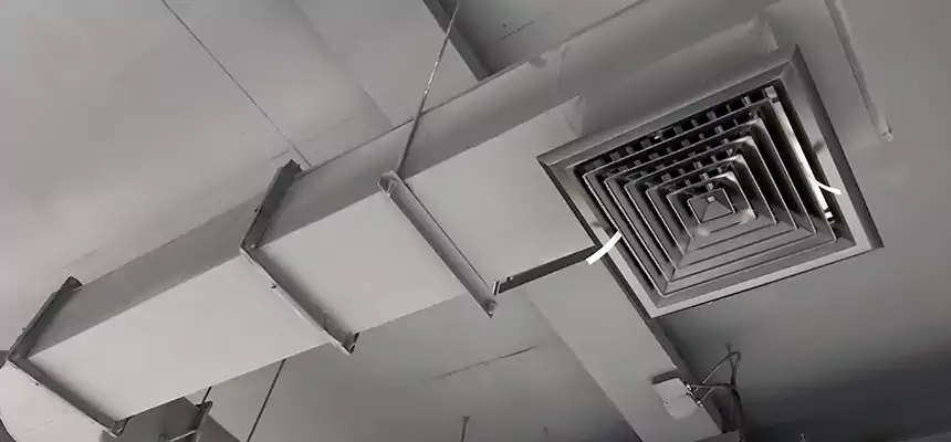 Our Pest Removal From Ducts Services in Durango, CO