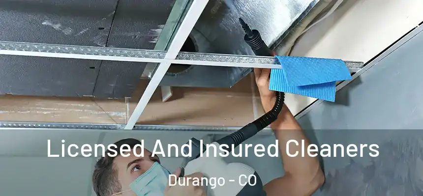  Licensed And Insured Cleaners Durango - CO