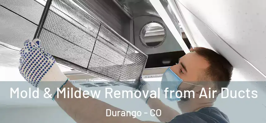  Mold & Mildew Removal from Air Ducts Durango - CO