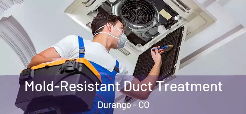  Mold-Resistant Duct Treatment Durango - CO