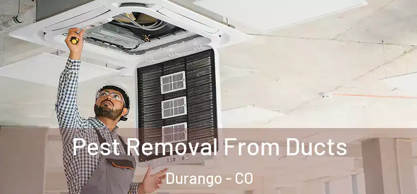  Pest Removal From Ducts Durango - CO