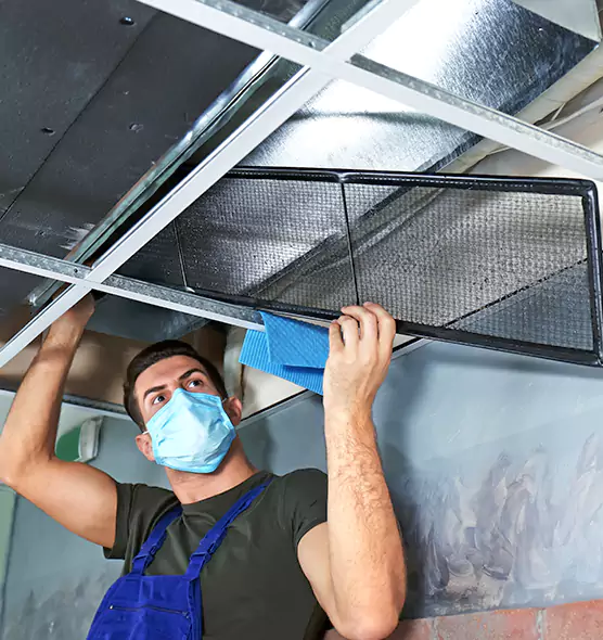 Professional Air Duct Pollen Cleaning in Durango, CO