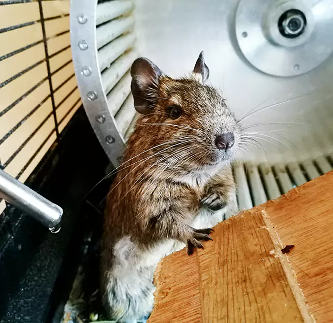 Why Homeowners & Businesses Trust Us Durango, CO?