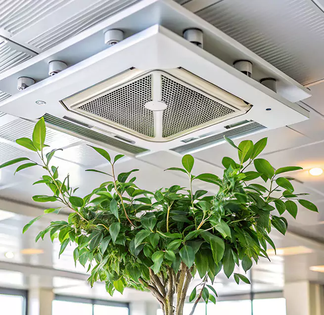 Why Homeowners & Businesses Trust Us in Durango, CO?