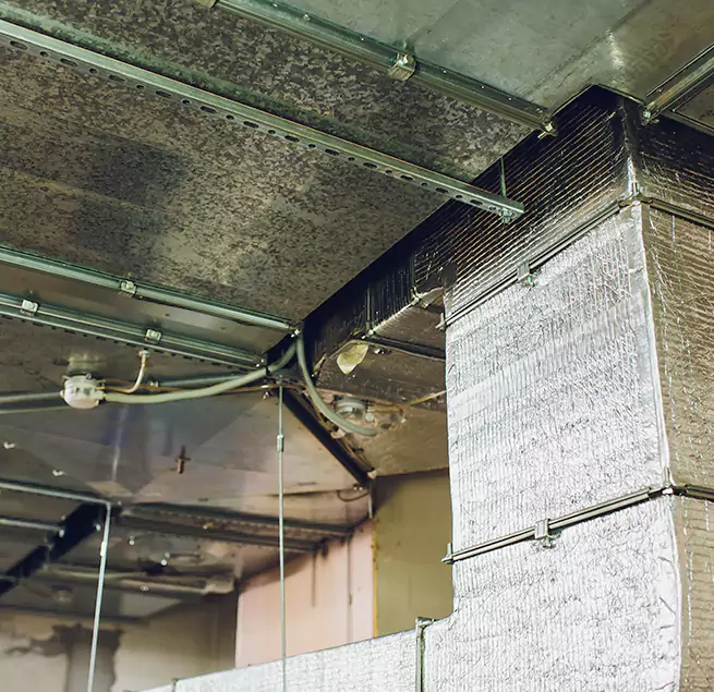 Why Homeowners & Businesses Trust Us in Durango, CO?